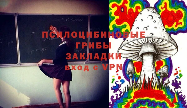 соль ск Богданович